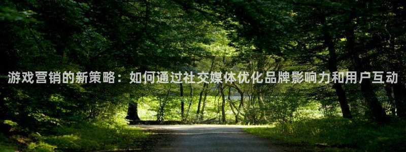 沐春长征娱乐：游戏营销的新策略：如何通过社交媒体优化品牌影响