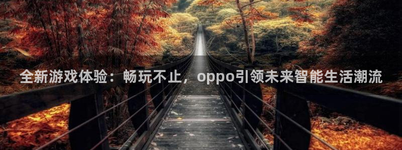长征娱乐网页版地址