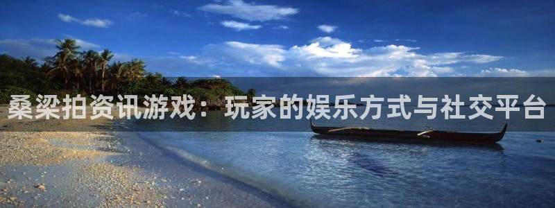 长征娱乐注册网站：桑梁拍资讯游戏：玩家的娱乐方式与社交平台