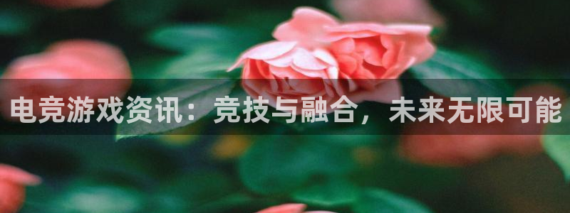 长征娱乐下载链接：电竞游戏资讯：竞技与融合，未来无限可能