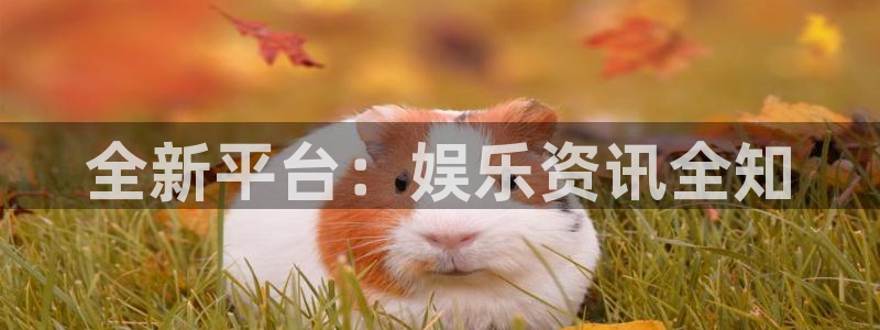 长征娱乐娱乐是真的吗：全新平台：娱乐资讯全知