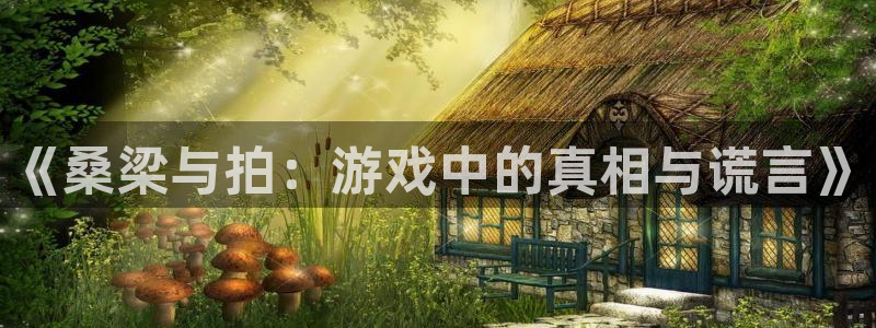 长征娱乐4招商：《桑梁与拍：游戏中的真相与谎言》
