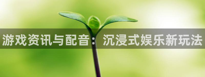 长征娱乐网址官网：游戏资讯与配音：沉浸式娱乐新玩法