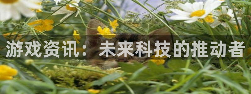 长征娱乐什么意思：游戏资讯：未来科技的推动者